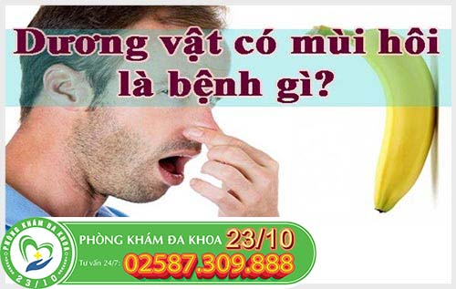 Dương vật bốc mùi là do đâu? Dương vật bốc mùi là do đâu?